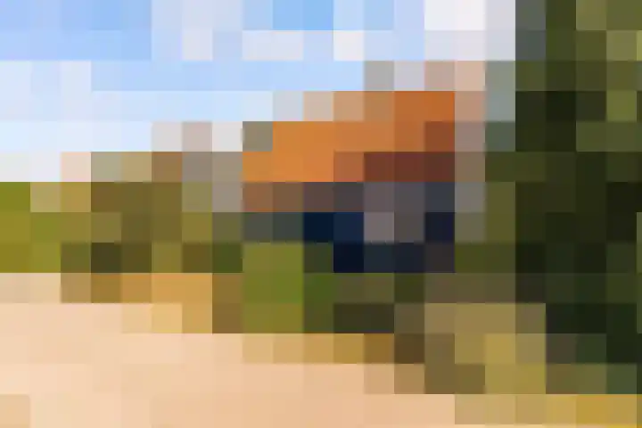 Prof. Pulsersstraat 50 Uden thumbnail 5