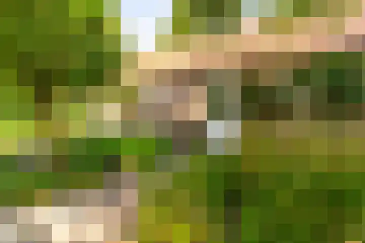 Prof. Pulsersstraat 50 Uden thumbnail 50