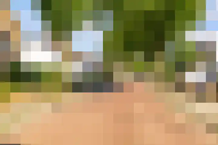 Prof. Pulsersstraat 50 Uden thumbnail 54