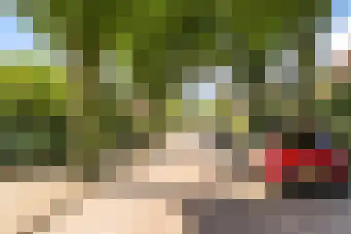 Prof. Pulsersstraat 50 Uden thumbnail 55