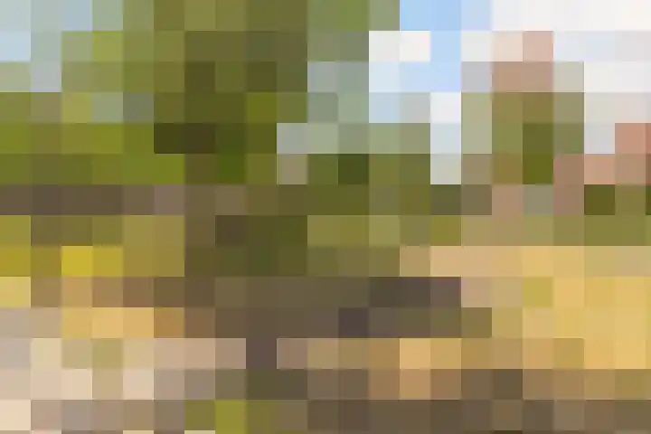 Prof. Pulsersstraat 50 Uden thumbnail 57