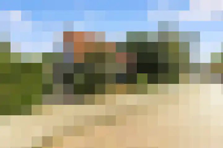 Prof. Pulsersstraat 50 Uden thumbnail 6