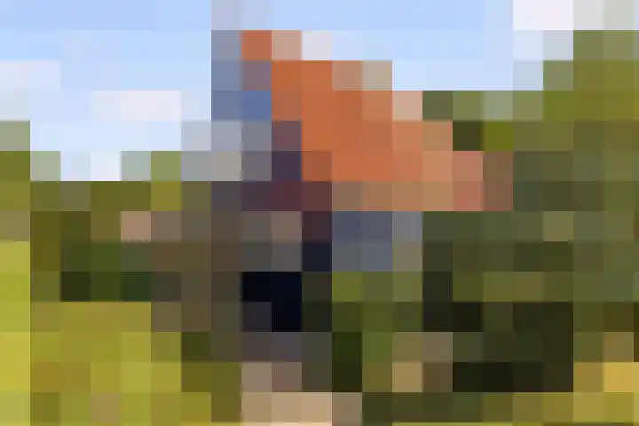 Prof. Pulsersstraat 50 Uden thumbnail 63