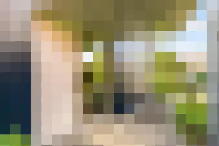 Prof. Pulsersstraat 50 Uden thumbnail 7