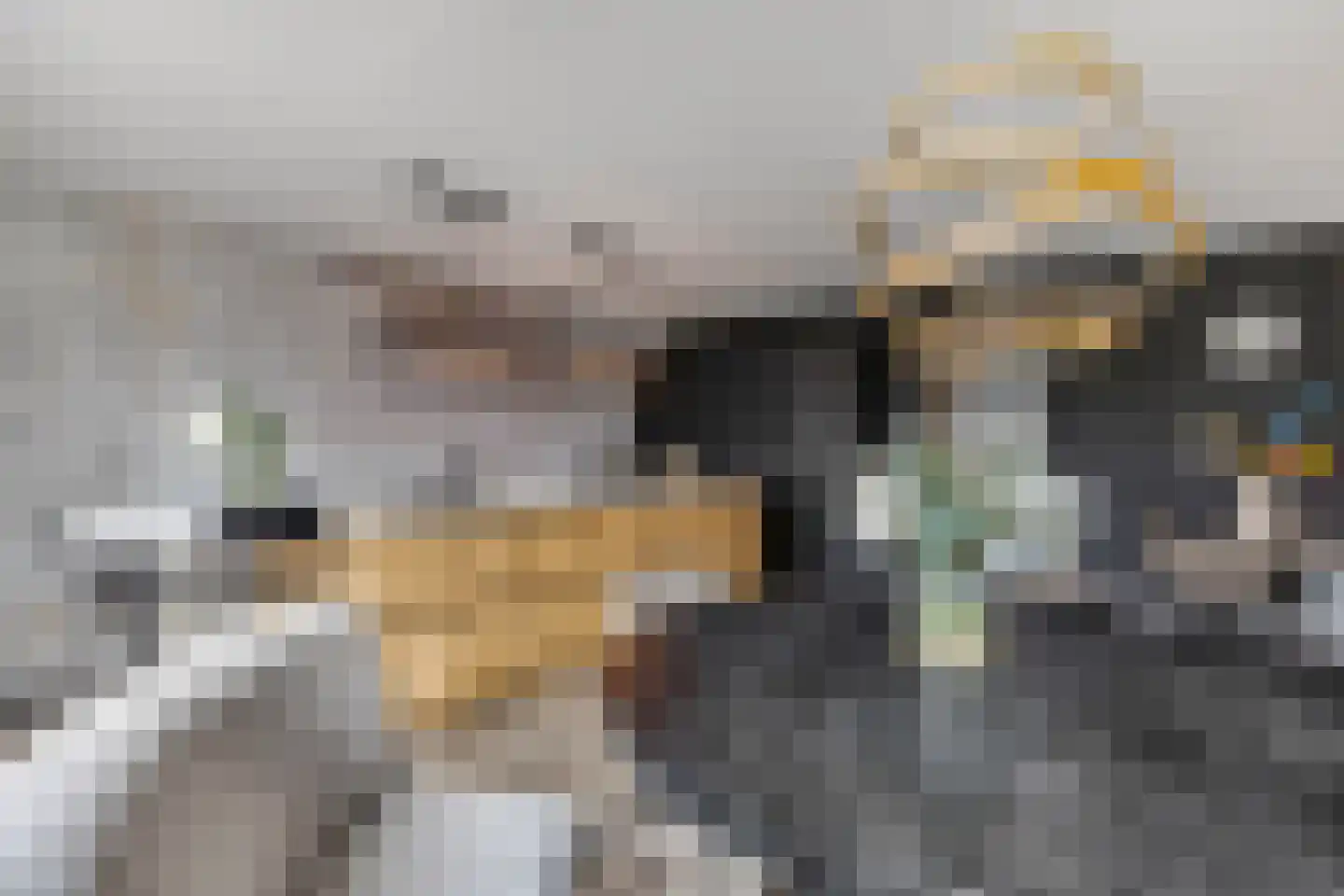 Prof. Quanjerstraat 7 Wageningen thumbnail 12
