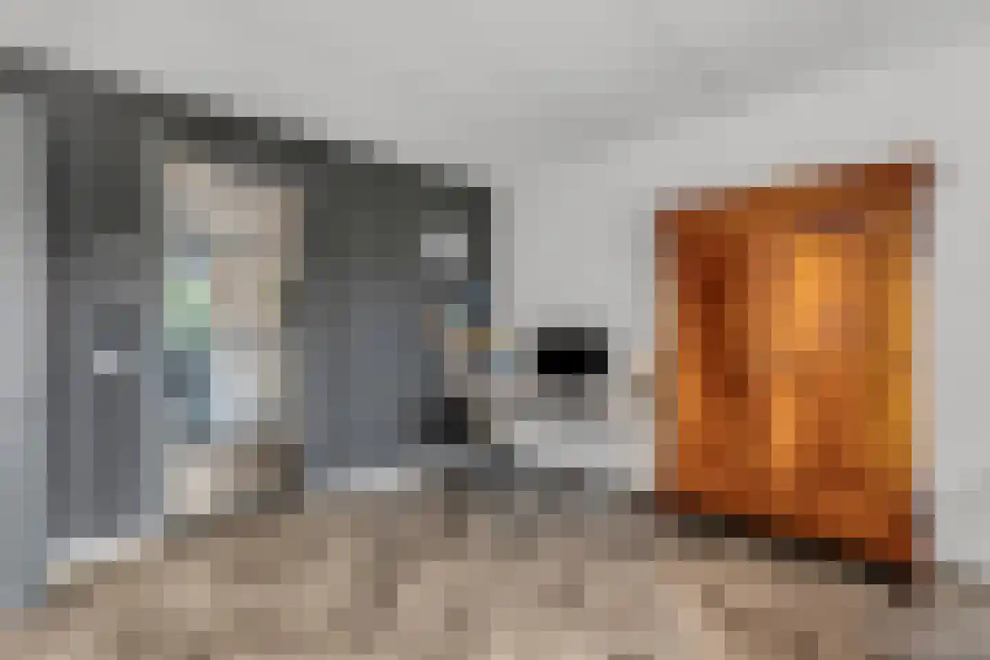 Prof. Quanjerstraat 7 Wageningen thumbnail 14