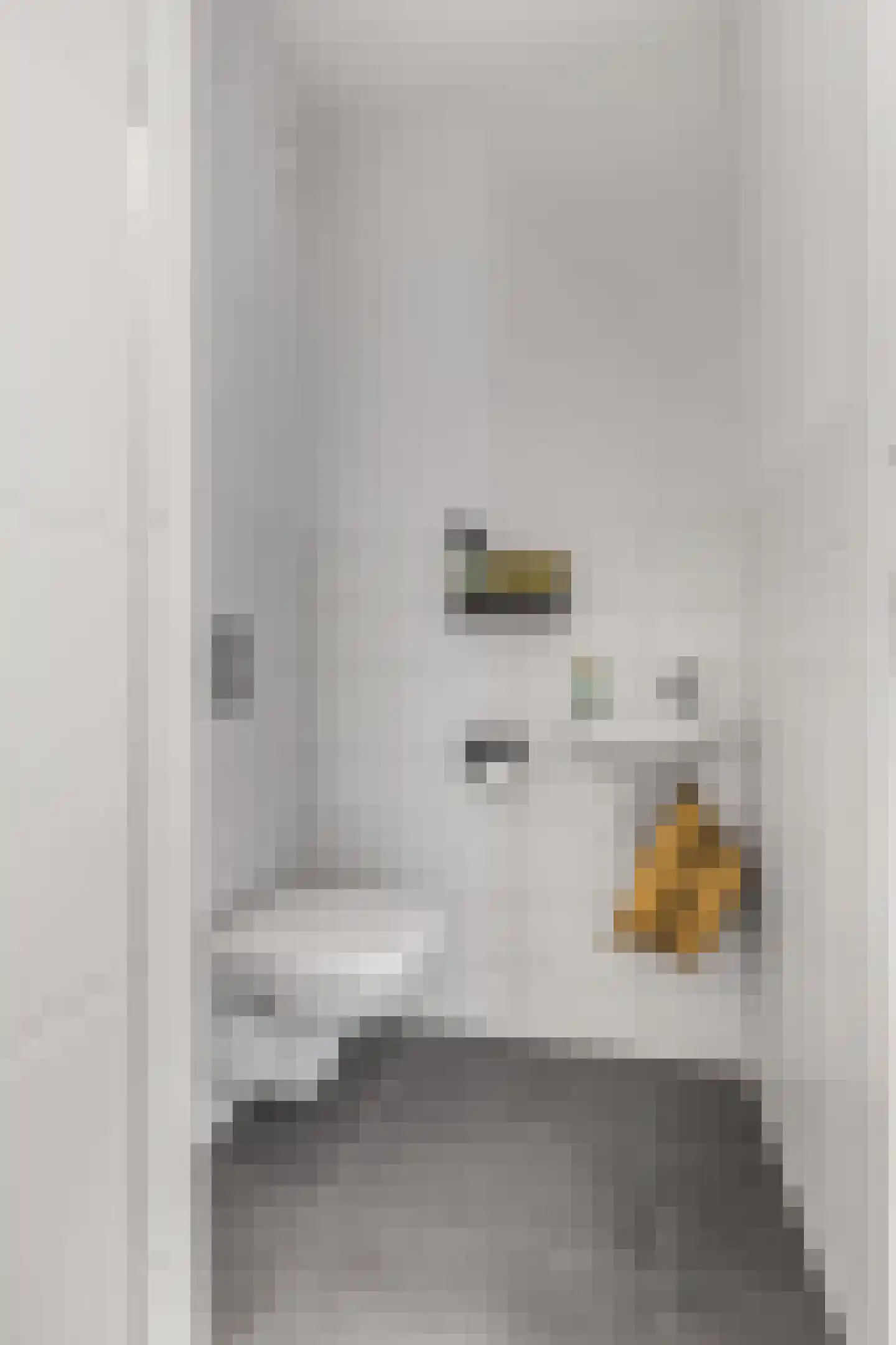 Prof. Quanjerstraat 7 Wageningen thumbnail 16