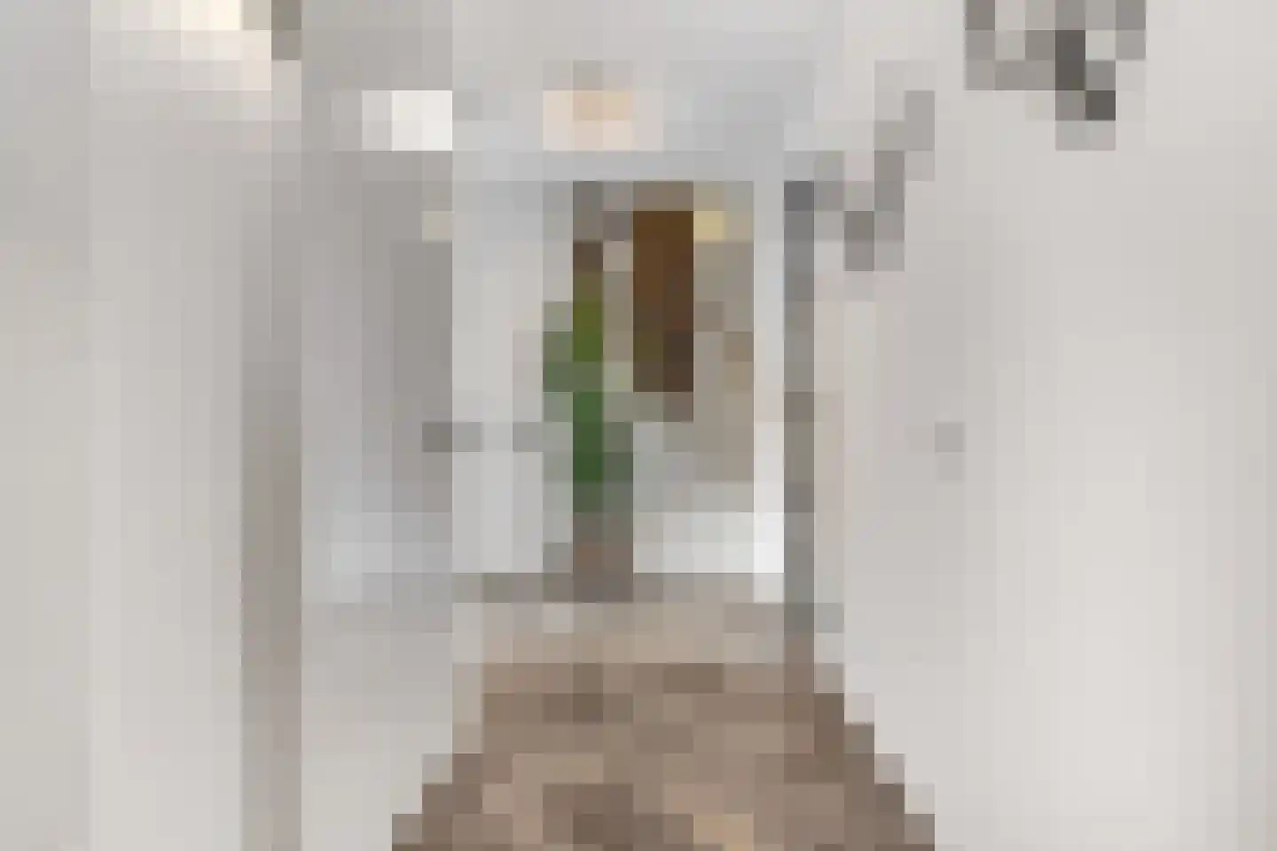 Prof. Quanjerstraat 7 Wageningen thumbnail 17