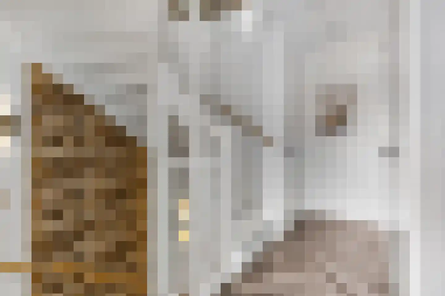 Prof. Quanjerstraat 7 Wageningen thumbnail 19