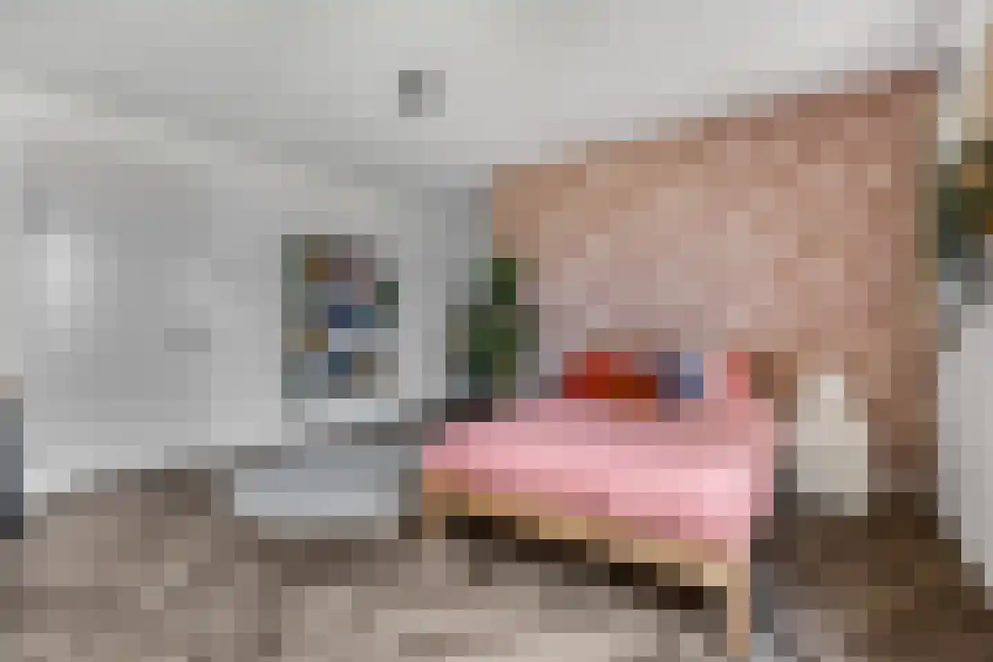 Prof. Quanjerstraat 7 Wageningen thumbnail 21