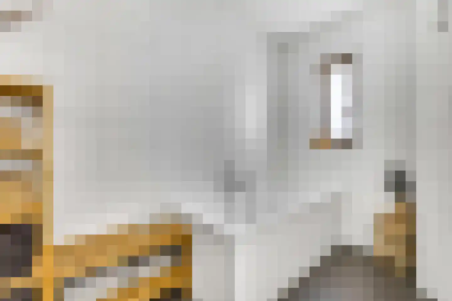 Prof. Quanjerstraat 7 Wageningen thumbnail 27