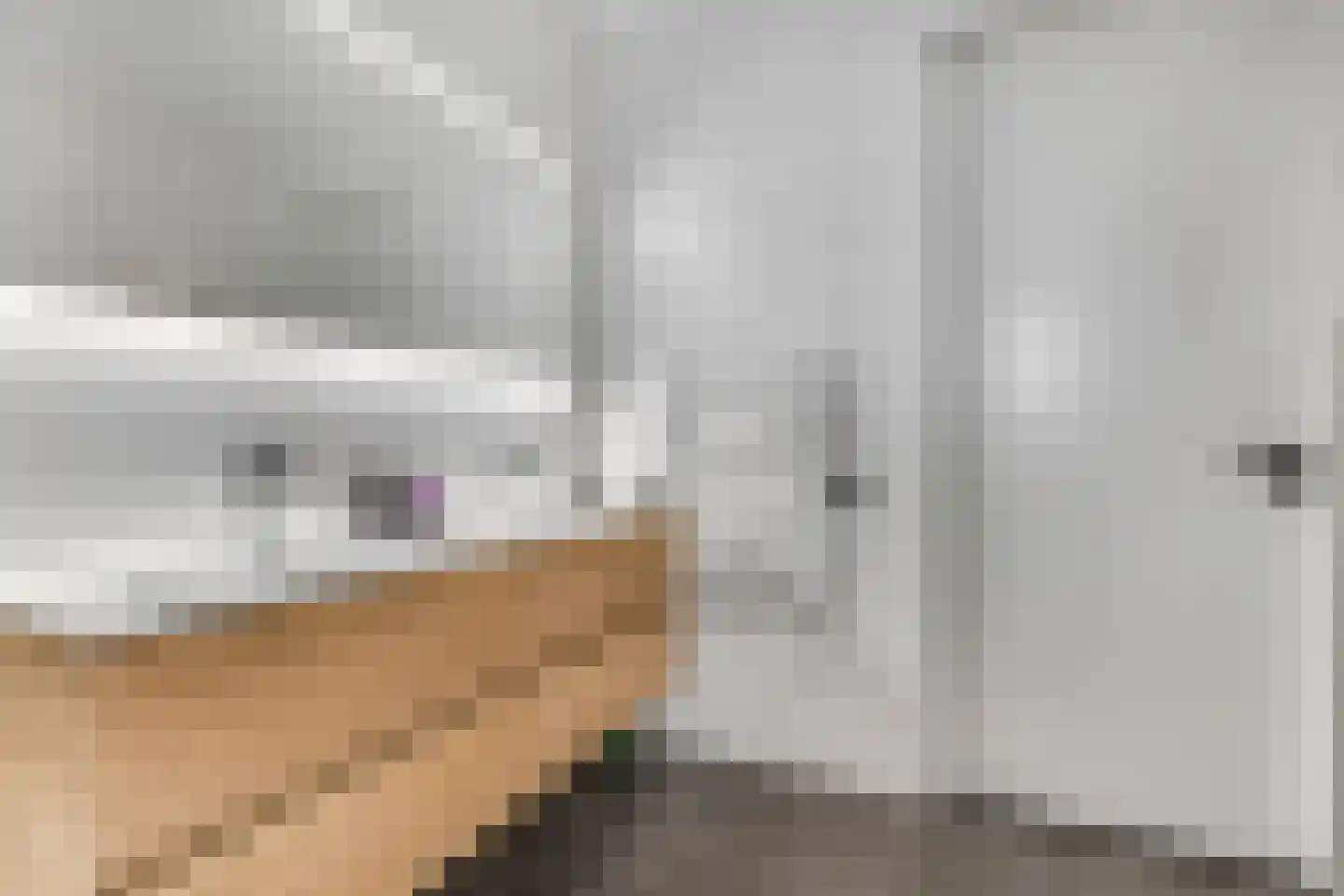Prof. Quanjerstraat 7 Wageningen thumbnail 28