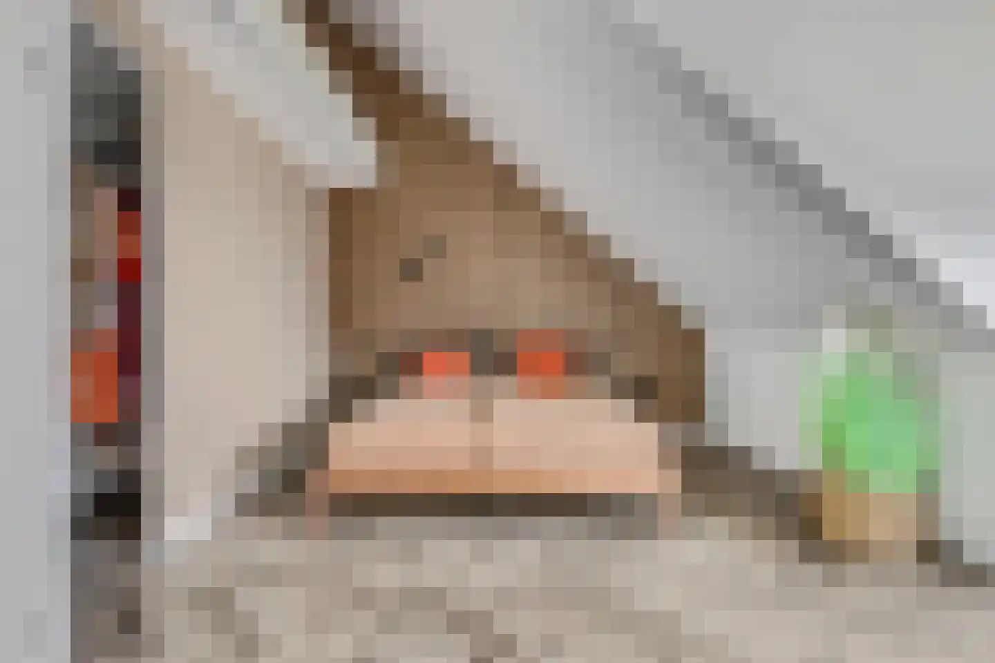 Prof. Quanjerstraat 7 Wageningen thumbnail 33