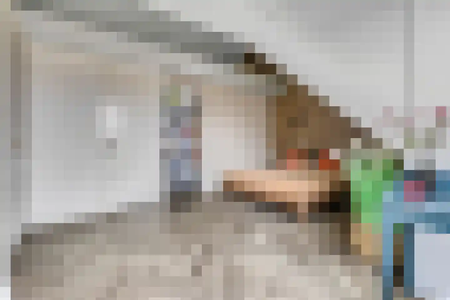 Prof. Quanjerstraat 7 Wageningen thumbnail 34