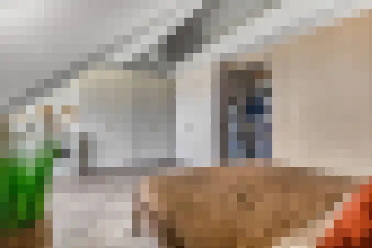 Prof. Quanjerstraat 7 Wageningen thumbnail 35