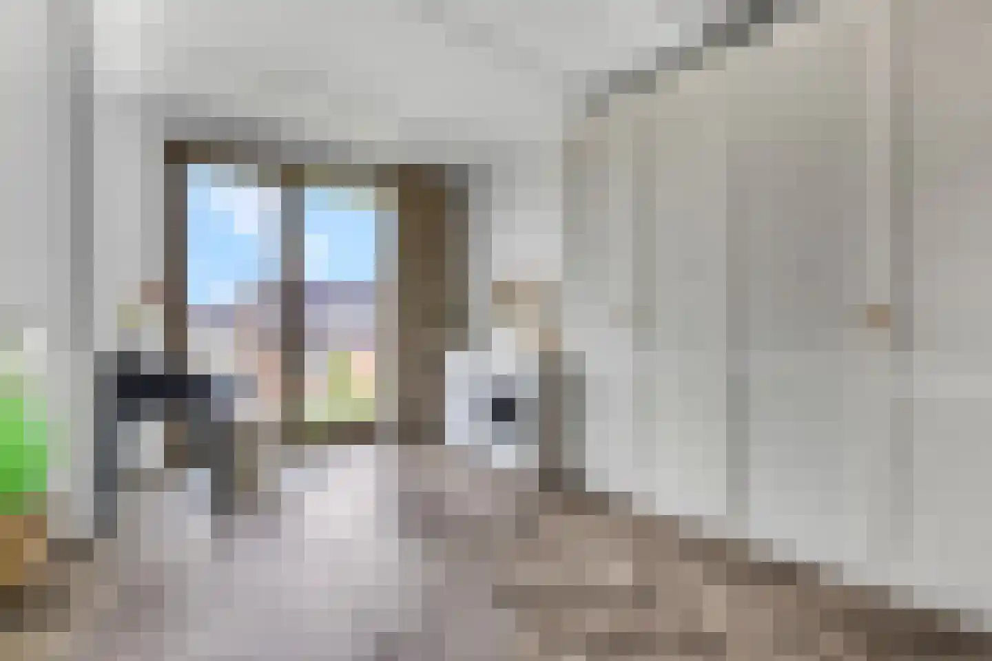 Prof. Quanjerstraat 7 Wageningen thumbnail 36