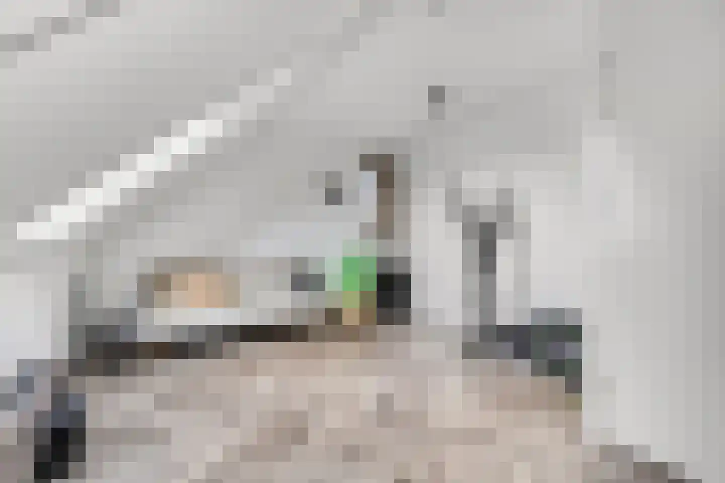 Prof. Quanjerstraat 7 Wageningen thumbnail 37