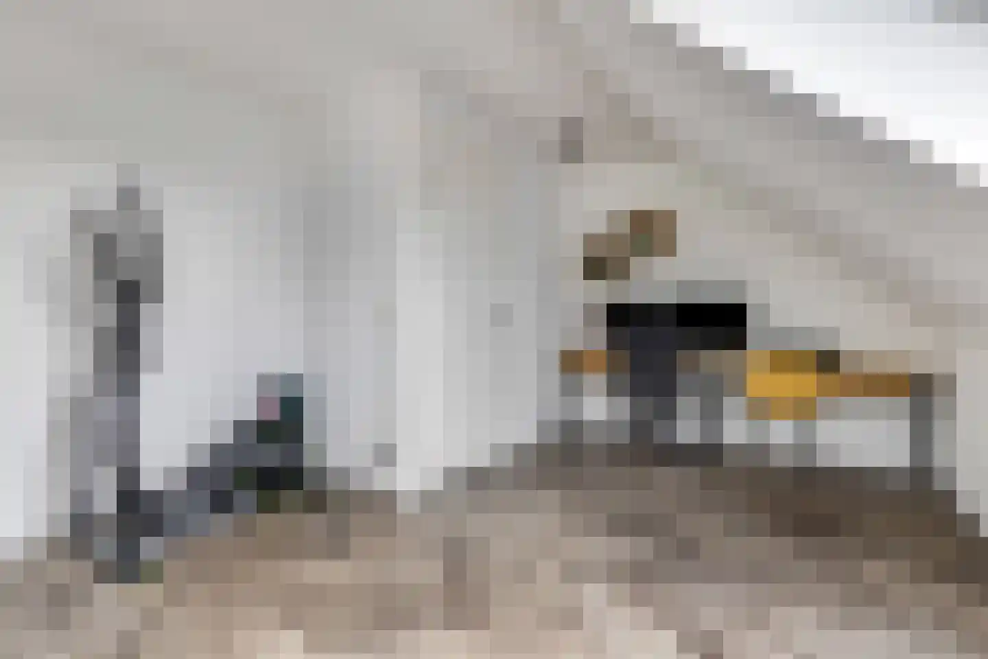 Prof. Quanjerstraat 7 Wageningen thumbnail 38