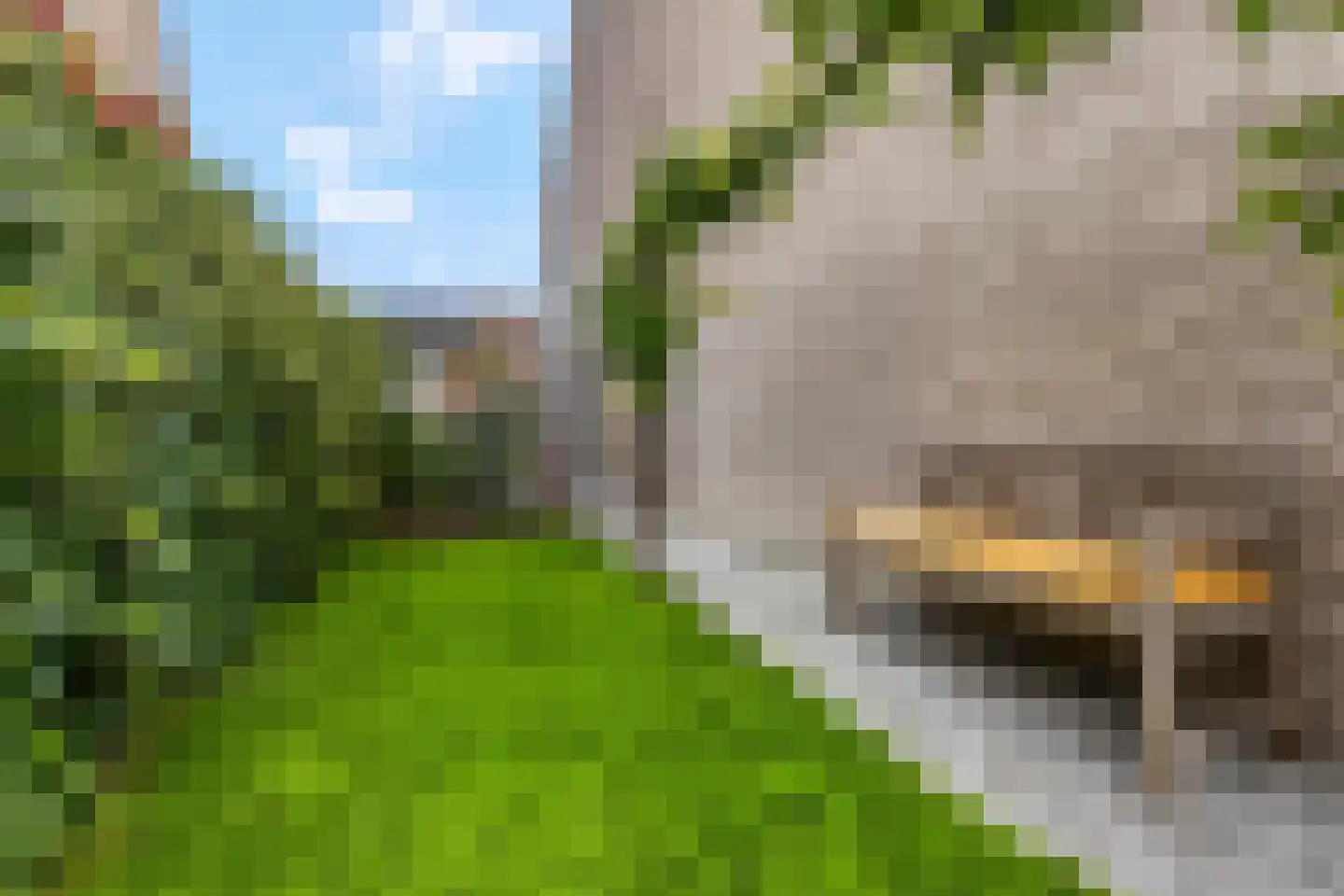 Prof. Quanjerstraat 7 Wageningen thumbnail 42