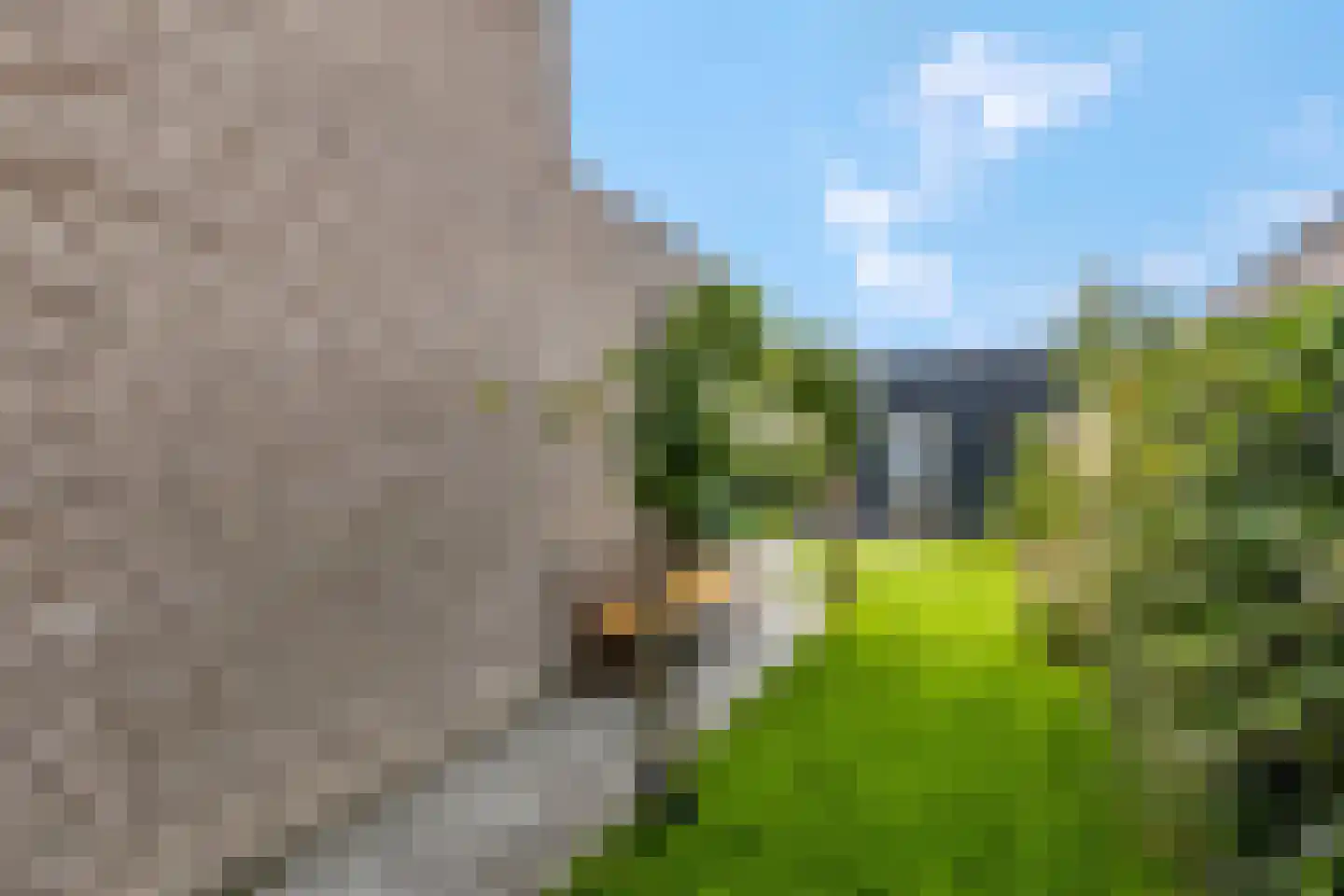Prof. Quanjerstraat 7 Wageningen thumbnail 43