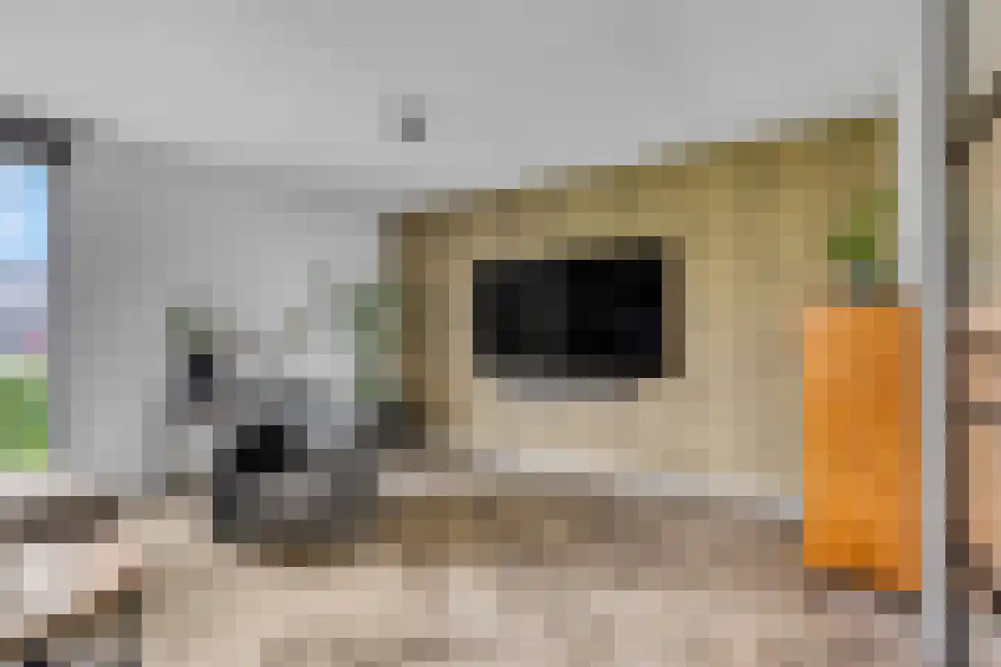 Prof. Quanjerstraat 7 Wageningen thumbnail 5