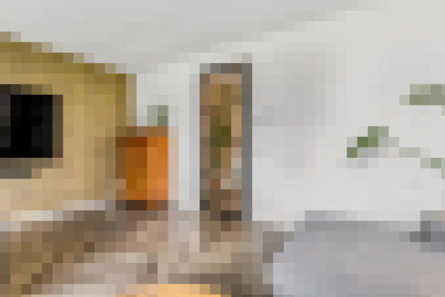 Prof. Quanjerstraat 7 Wageningen thumbnail 6
