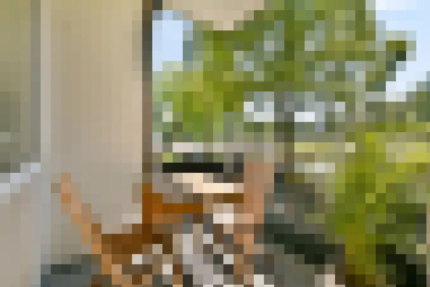 Prof. R. Casimirstraat 64 Amsterdam thumbnail 13