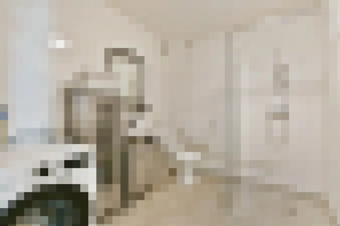 Prof. R. Casimirstraat 64 Amsterdam thumbnail 19