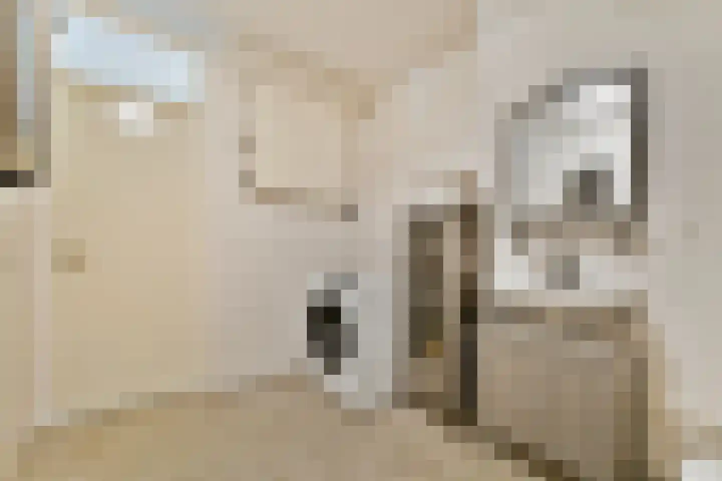 Prof. R. Casimirstraat 64 Amsterdam thumbnail 20