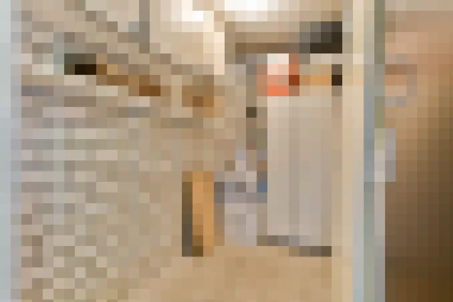 Prof. R. Casimirstraat 64 Amsterdam thumbnail 23