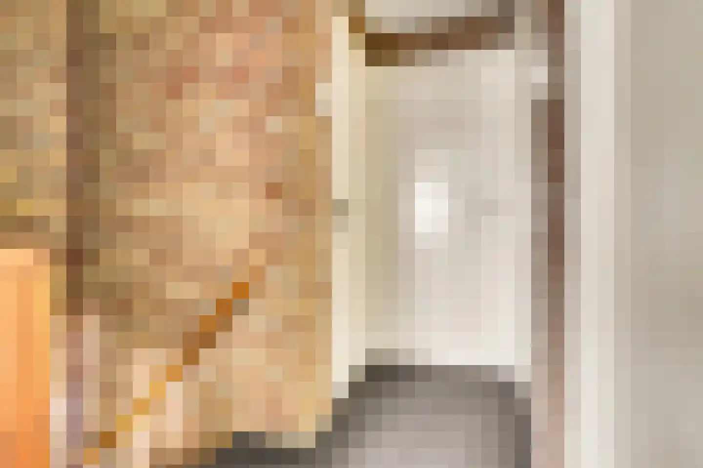 Prof. R. Regoutstraat 20 Best thumbnail 25