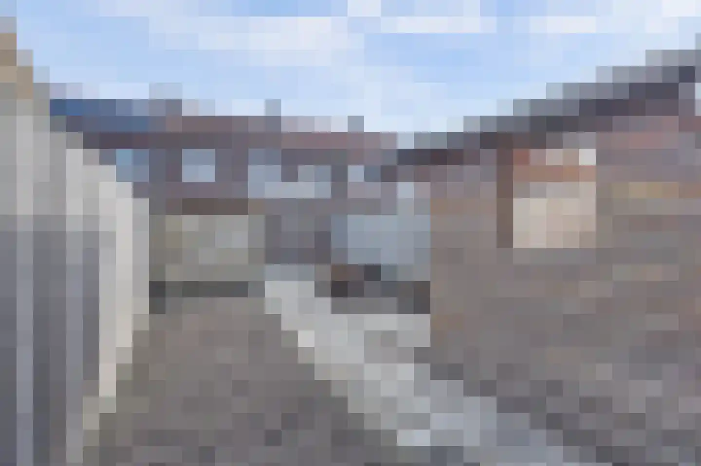 Prof. R. Regoutstraat 20 Best thumbnail 30
