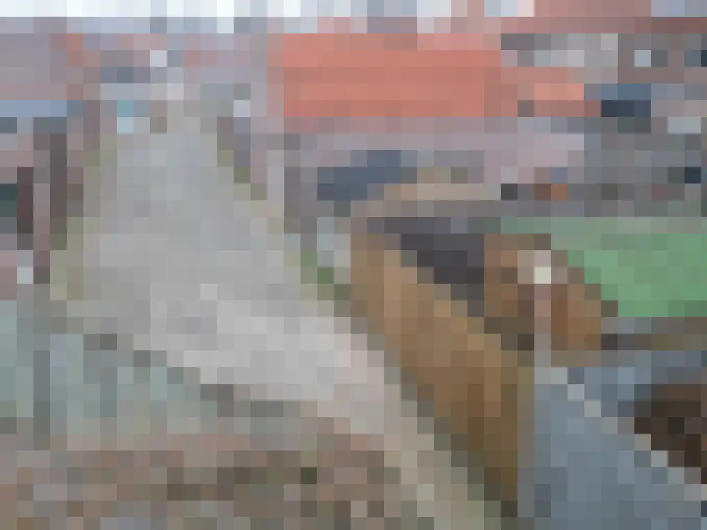 Prof. R. Regoutstraat 20 Best thumbnail 36