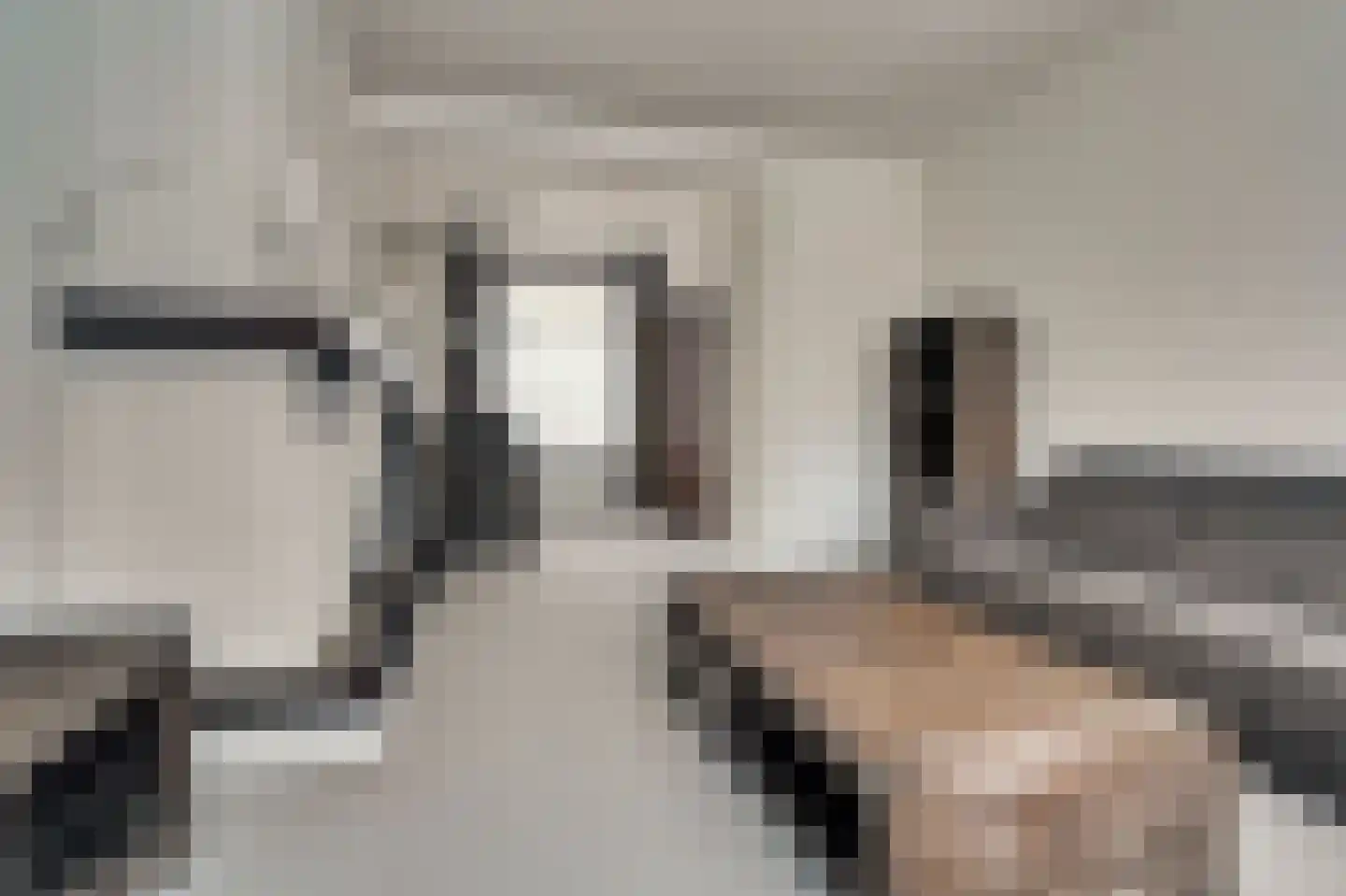Prof. R. Regoutstraat 20 Best thumbnail 4