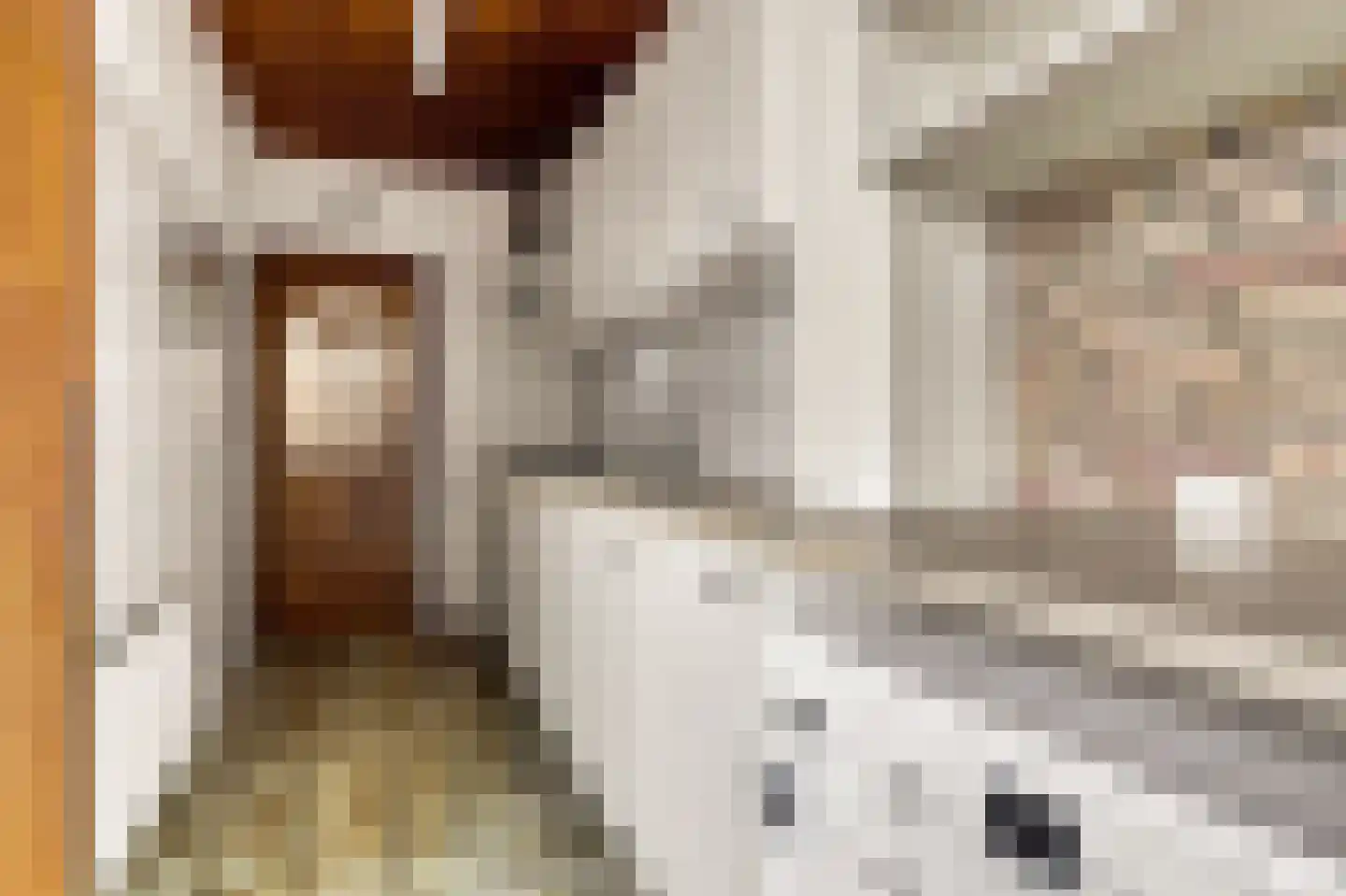 Prof. R. Regoutstraat 20 Best thumbnail 8
