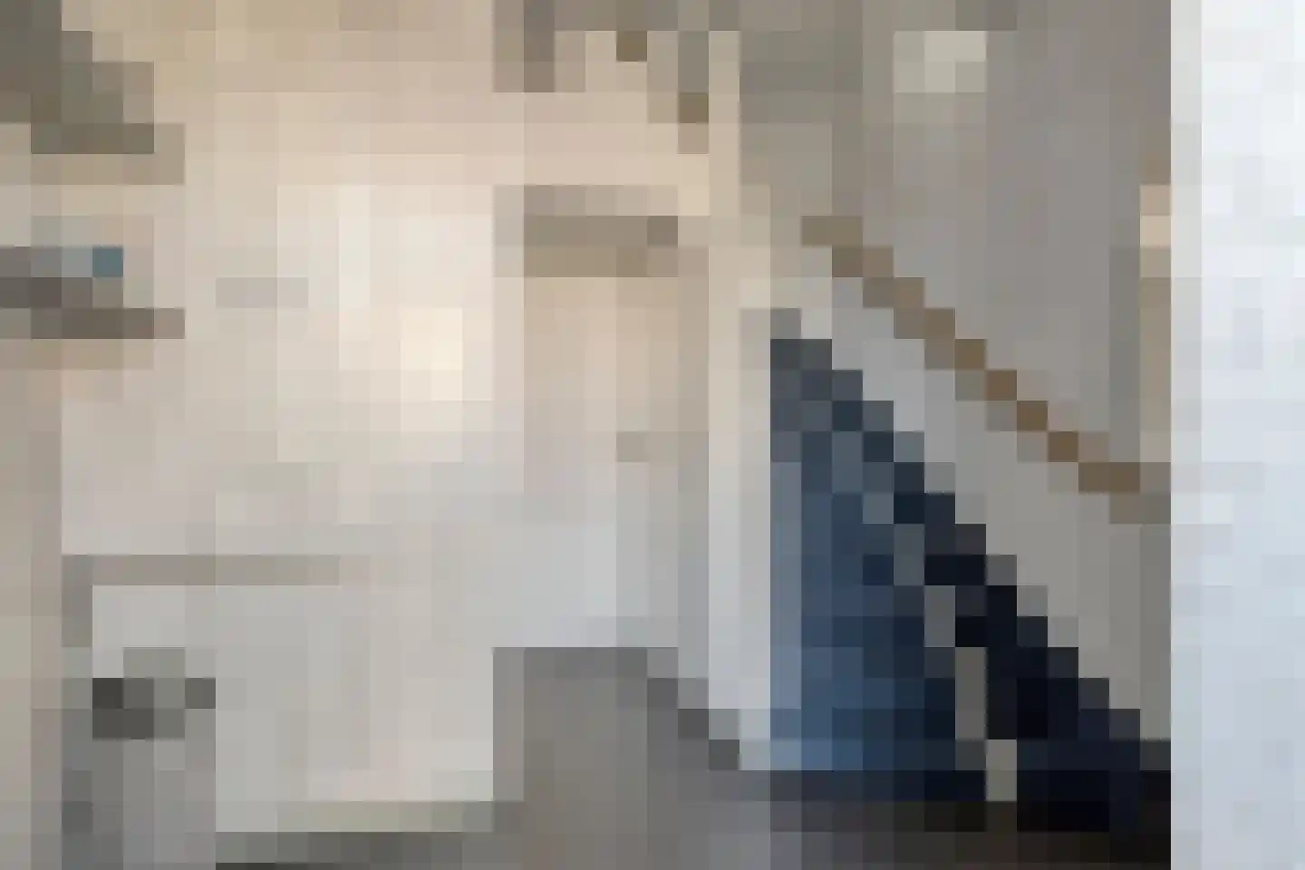 Prof. R. Regoutstraat 33 Best thumbnail 13
