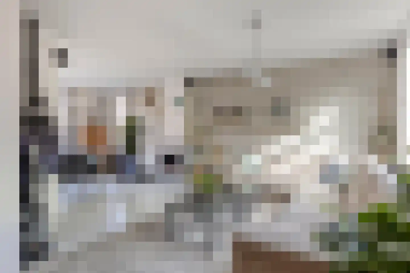 Prof. R. Regoutstraat 33 Best thumbnail 17