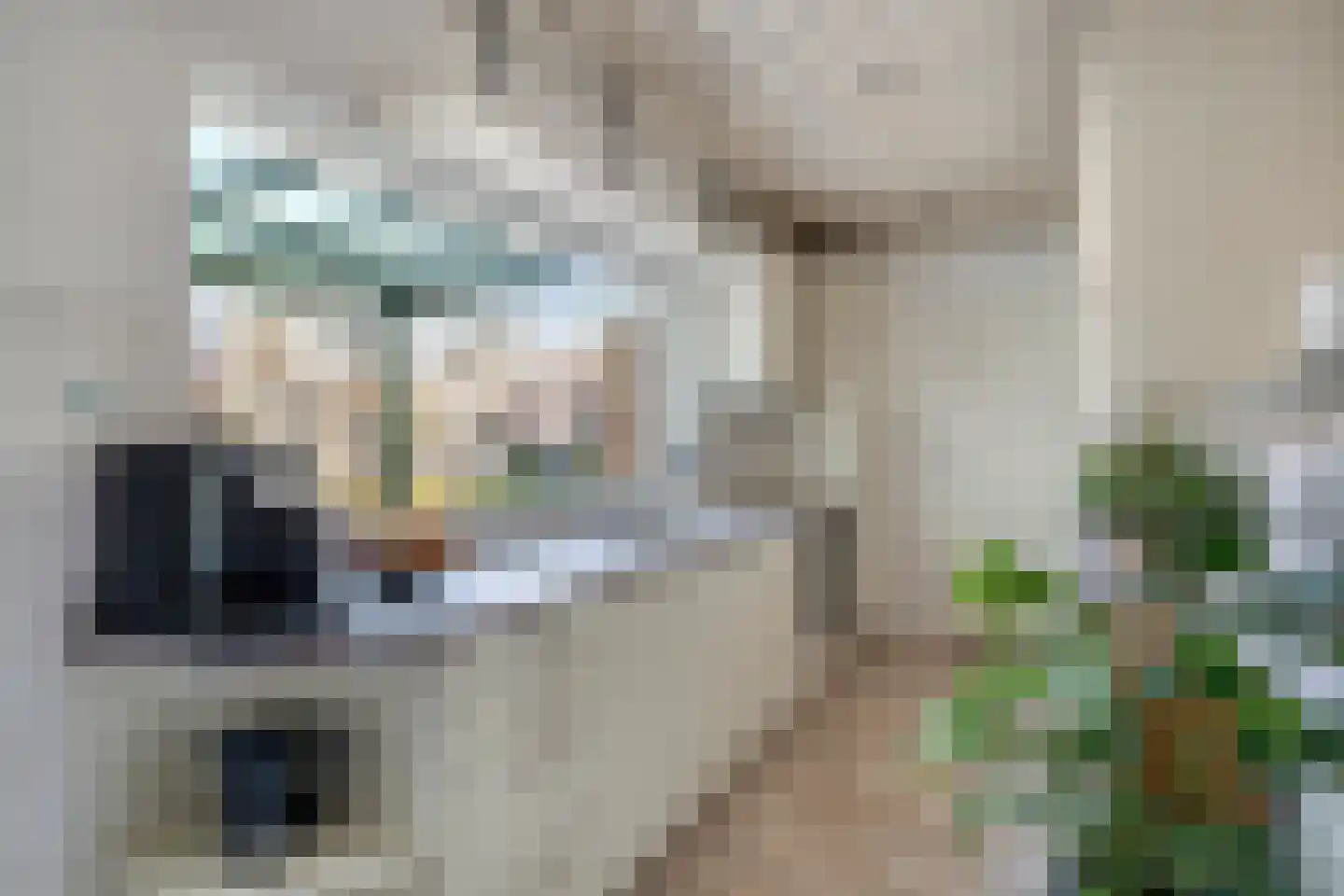 Prof. R. Regoutstraat 33 Best thumbnail 20
