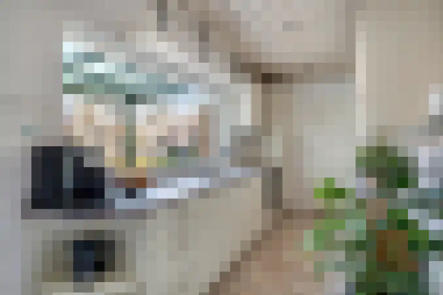 Prof. R. Regoutstraat 33 Best thumbnail 20