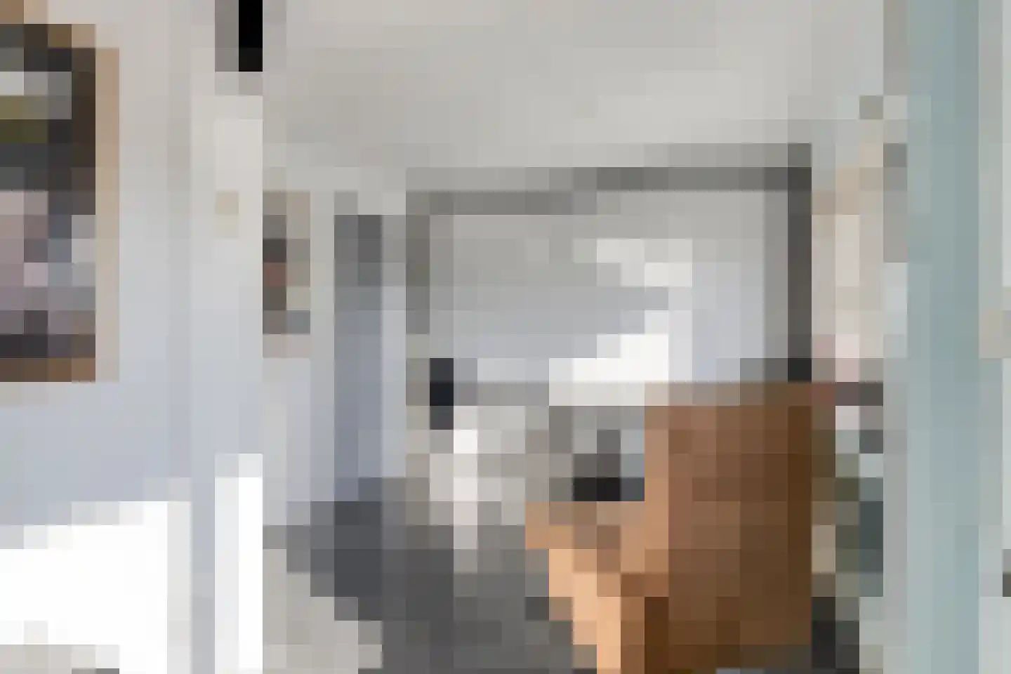 Prof. R. Regoutstraat 33 Best thumbnail 29
