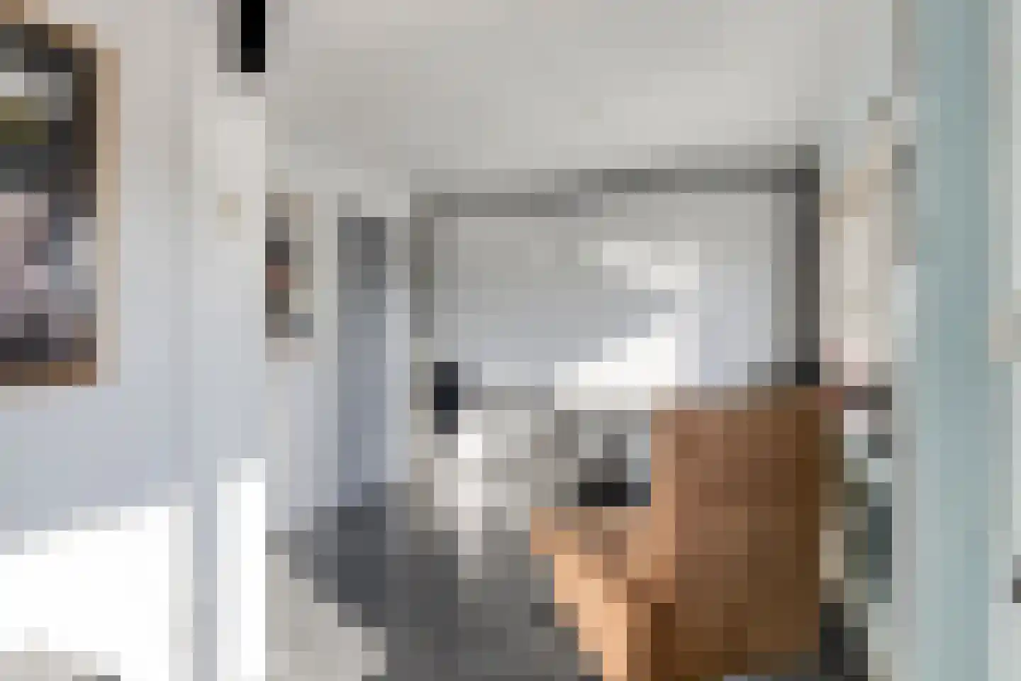 Prof. R. Regoutstraat 33 Best thumbnail 29