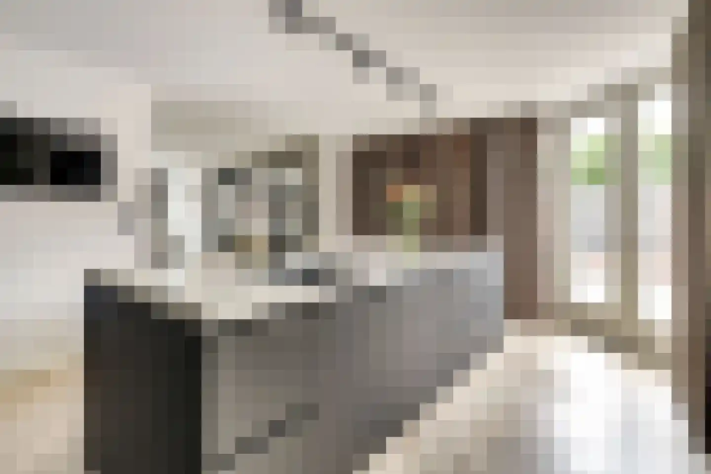 Prof. R. Regoutstraat 38 Best thumbnail 16