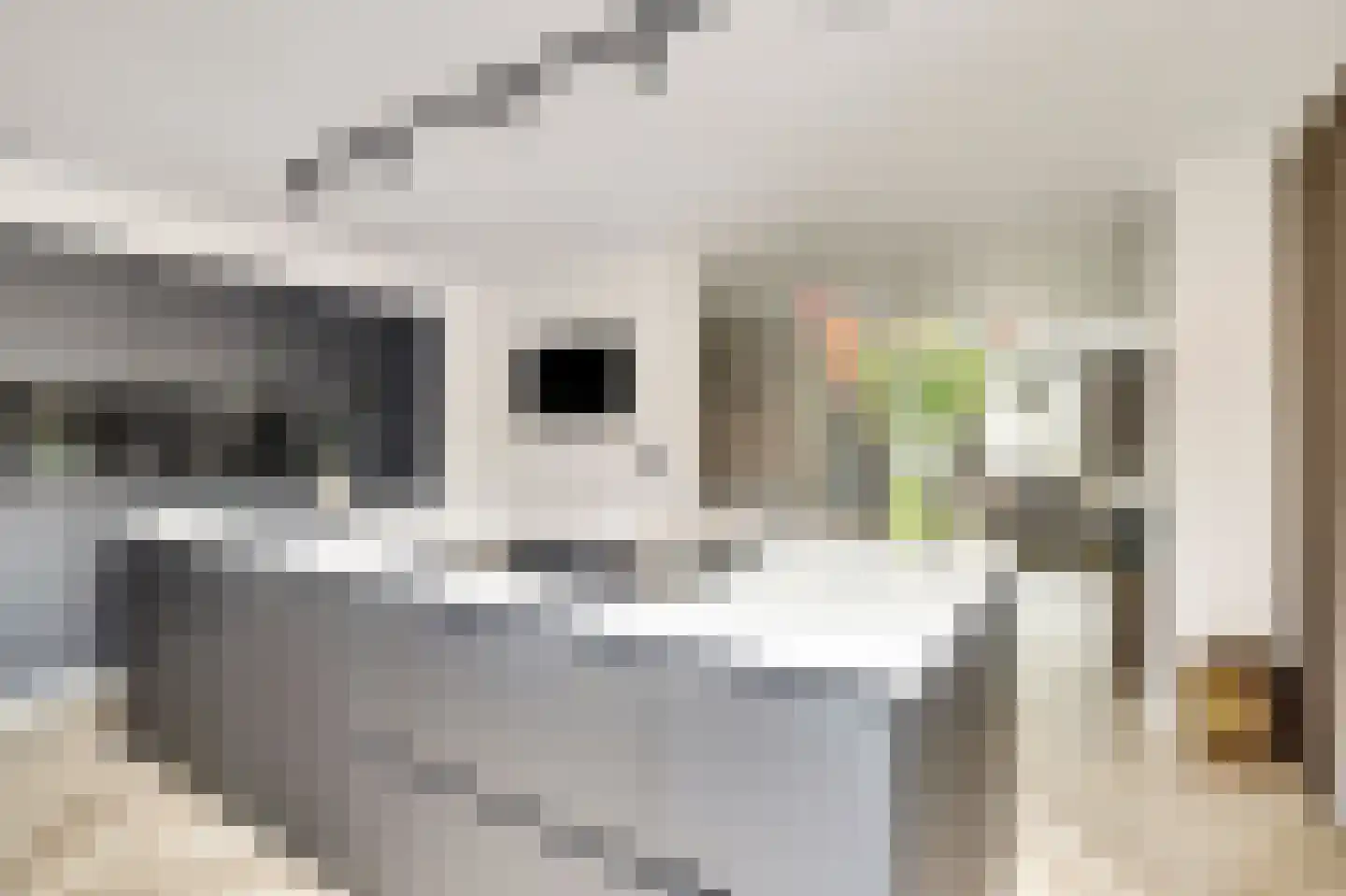 Prof. R. Regoutstraat 38 Best thumbnail 17