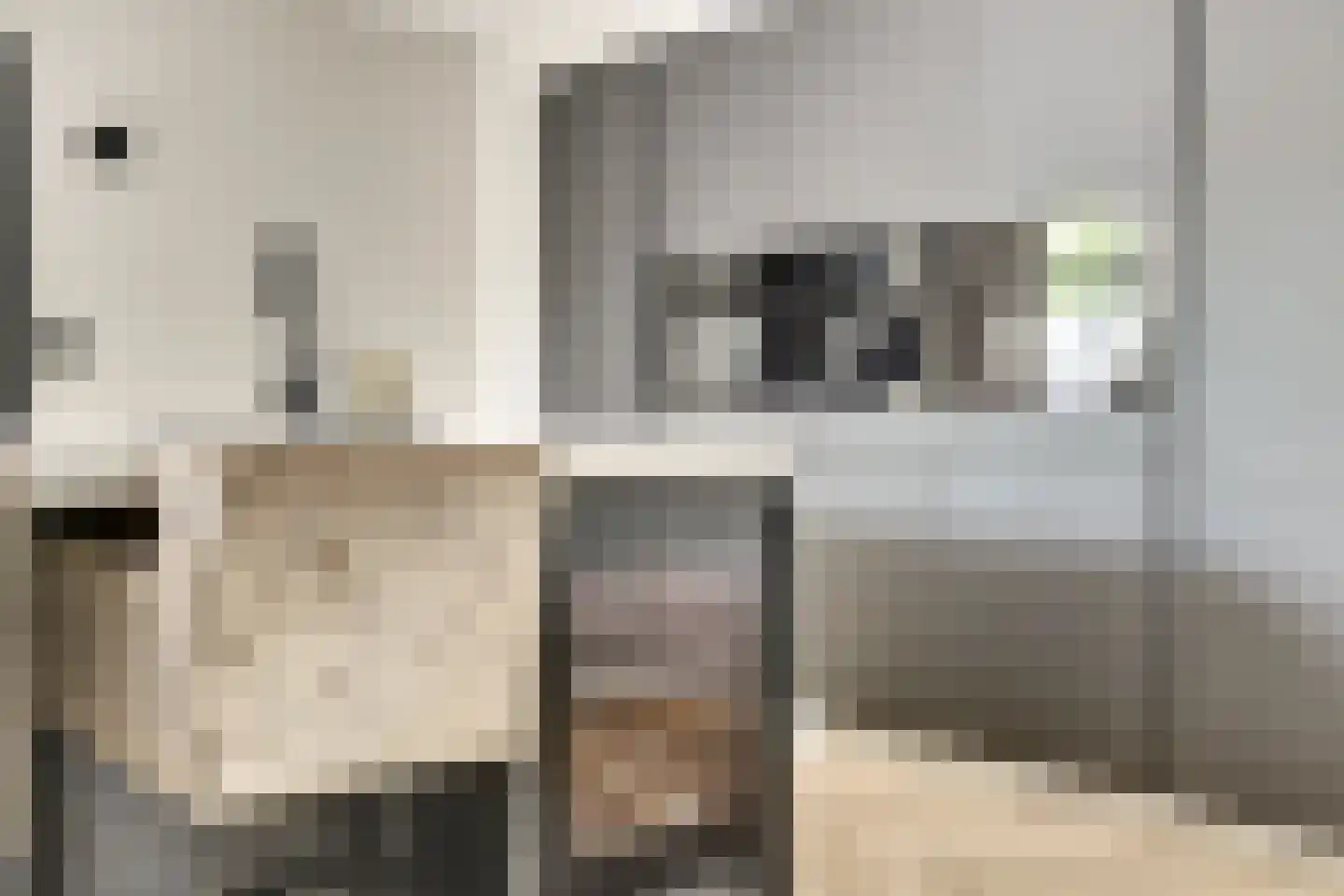 Prof. R. Regoutstraat 38 Best thumbnail 19