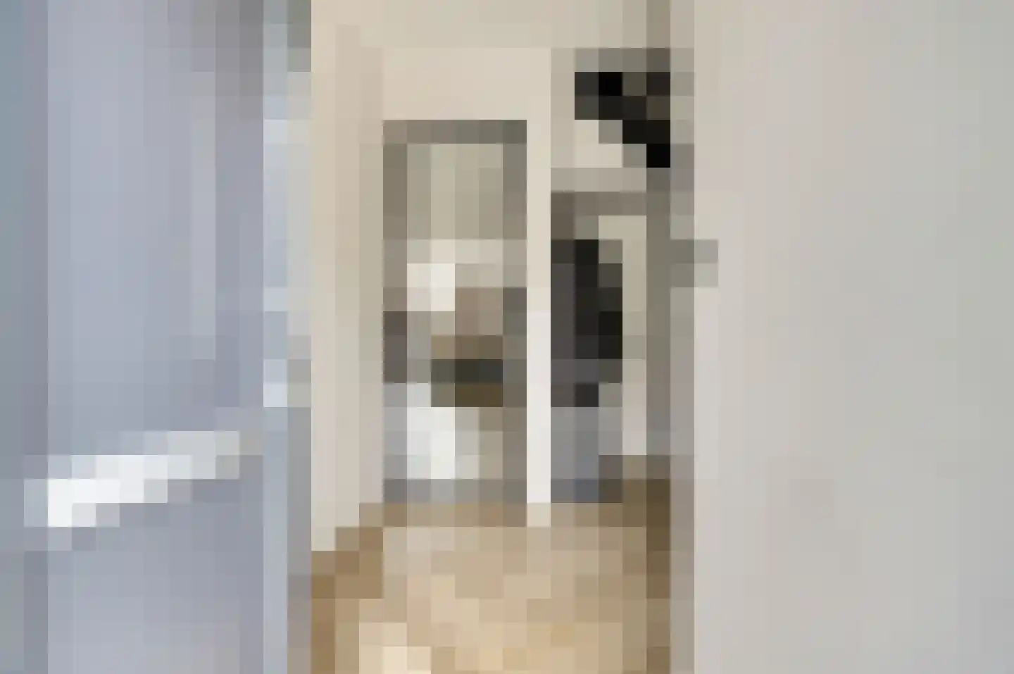 Prof. R. Regoutstraat 38 Best thumbnail 26