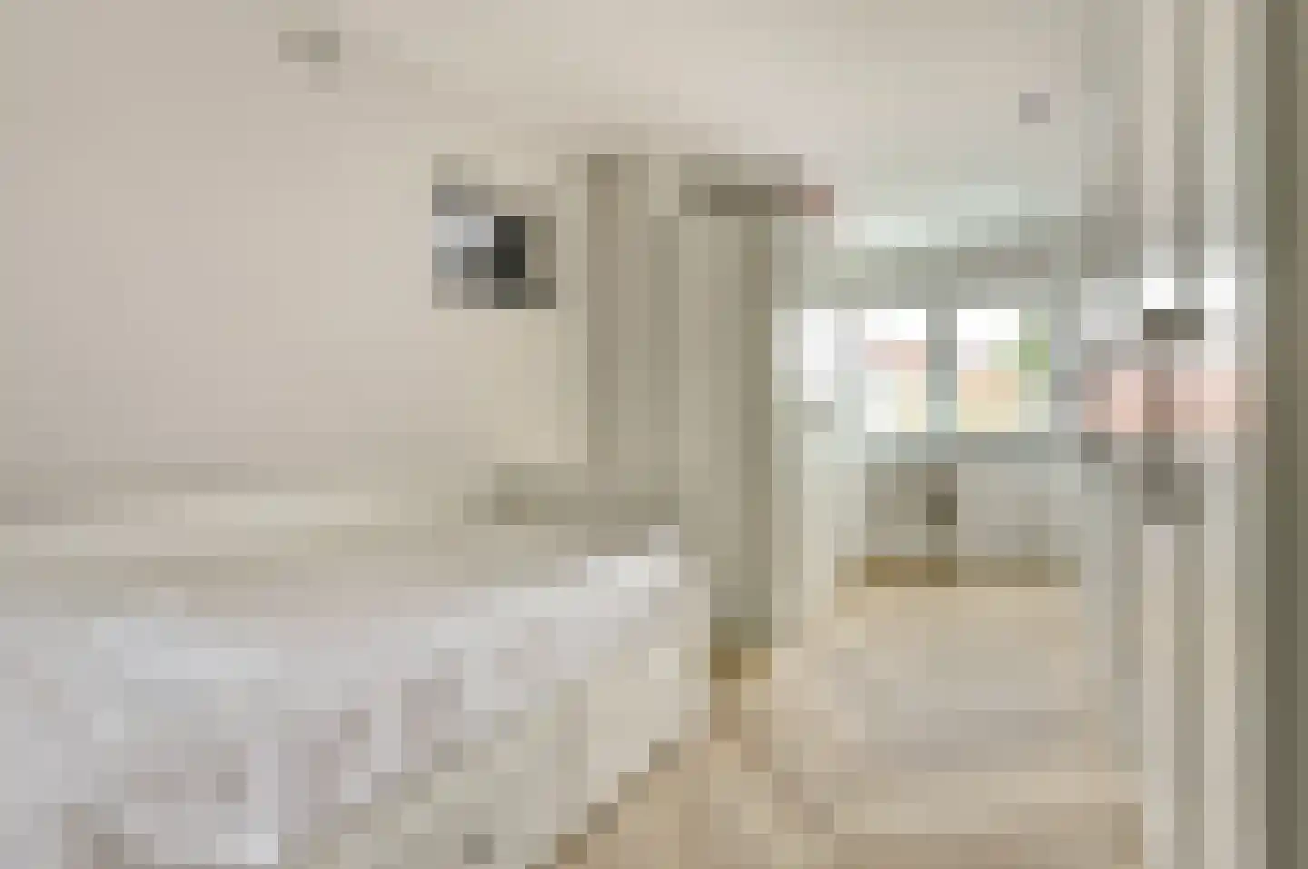 Prof. R. Regoutstraat 38 Best thumbnail 30