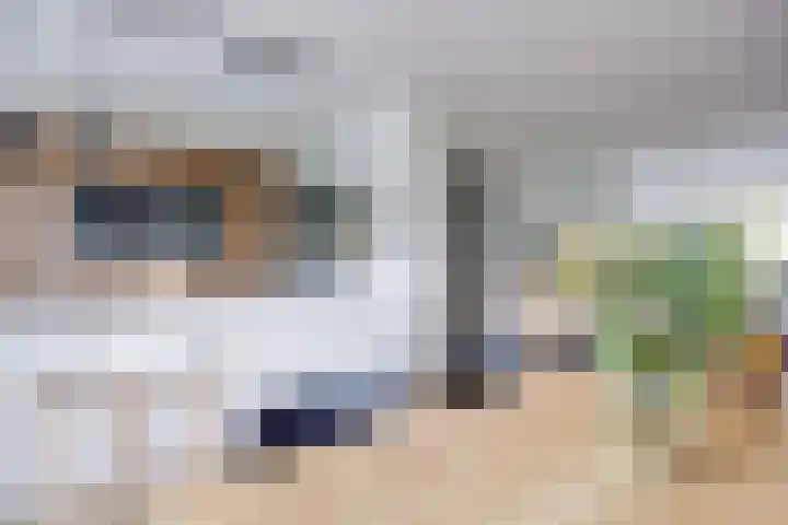 Prof. Ritzema Boslaan 10 Utrecht thumbnail 14