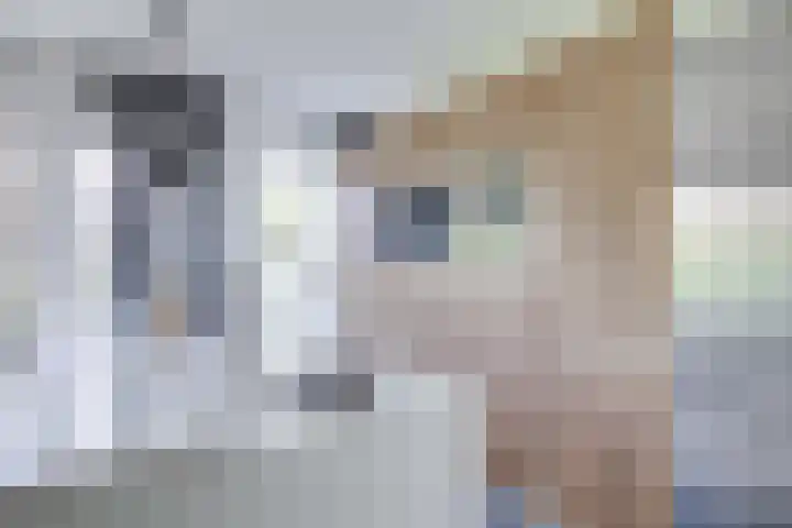 Prof. Ritzema Boslaan 10 Utrecht thumbnail 15