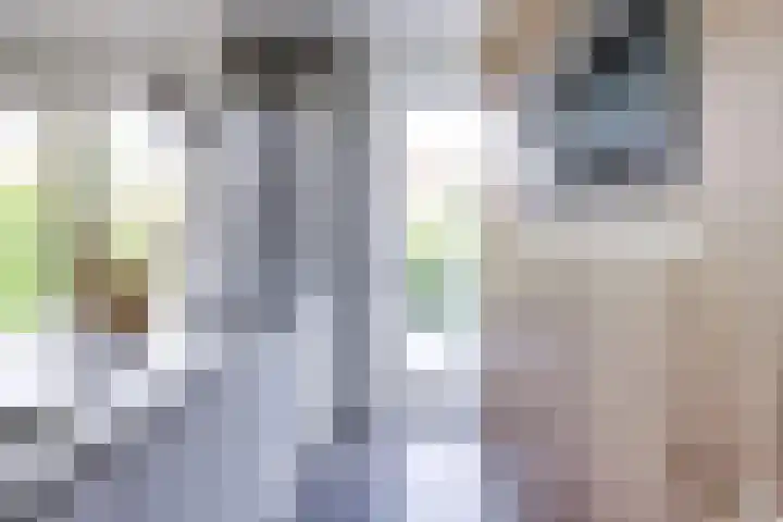 Prof. Ritzema Boslaan 10 Utrecht thumbnail 17