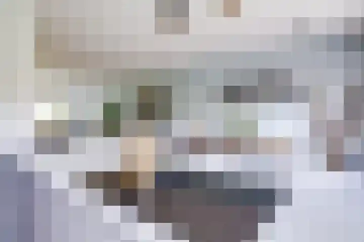 Prof. Ritzema Boslaan 10 Utrecht thumbnail 18